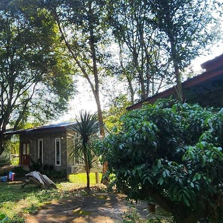 Rimtharnn Homestay Maewin Mae Wang Exterior foto